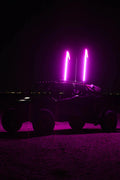 4FT LED WHIPS - HOT PINK