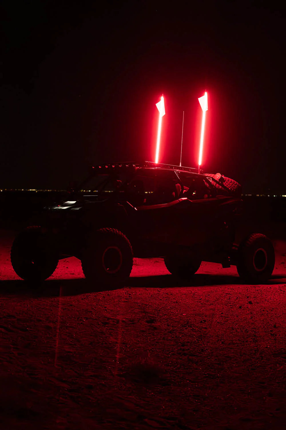 4FT LED WHIPS - RED